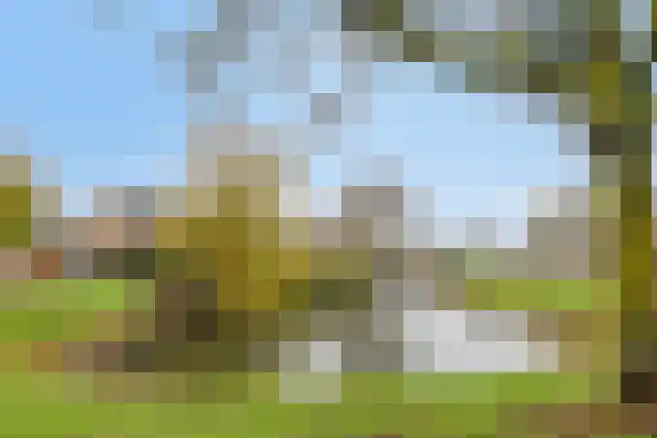 Aa of Weerijs 19 Tilburg thumbnail 55