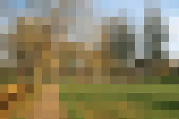 Aa of Weerijs 19 Tilburg thumbnail 58
