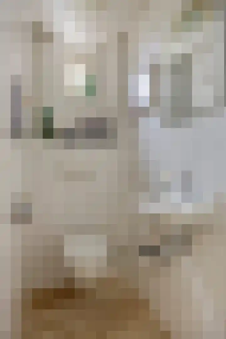 Aa of Weerijs 19 Tilburg thumbnail 6
