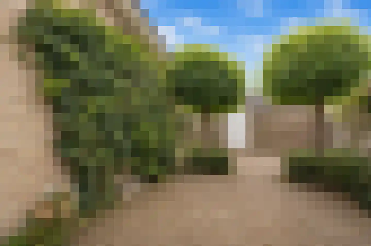 Aa of Weerijs 53 Tilburg thumbnail 32