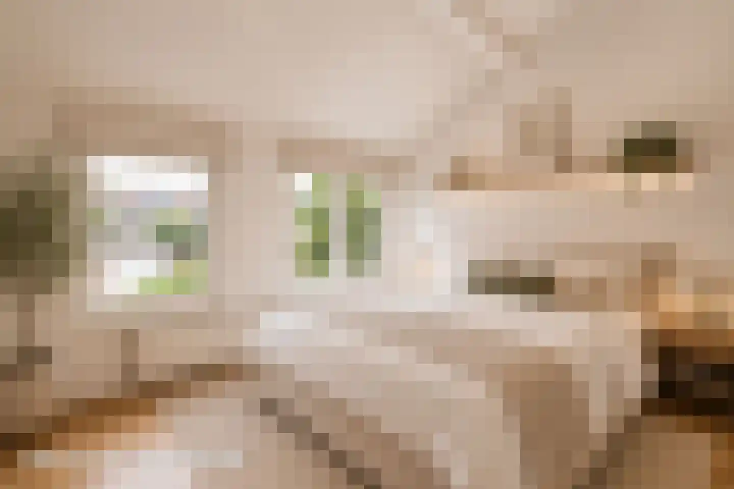 Aa of Weerijs 53 Tilburg thumbnail 38