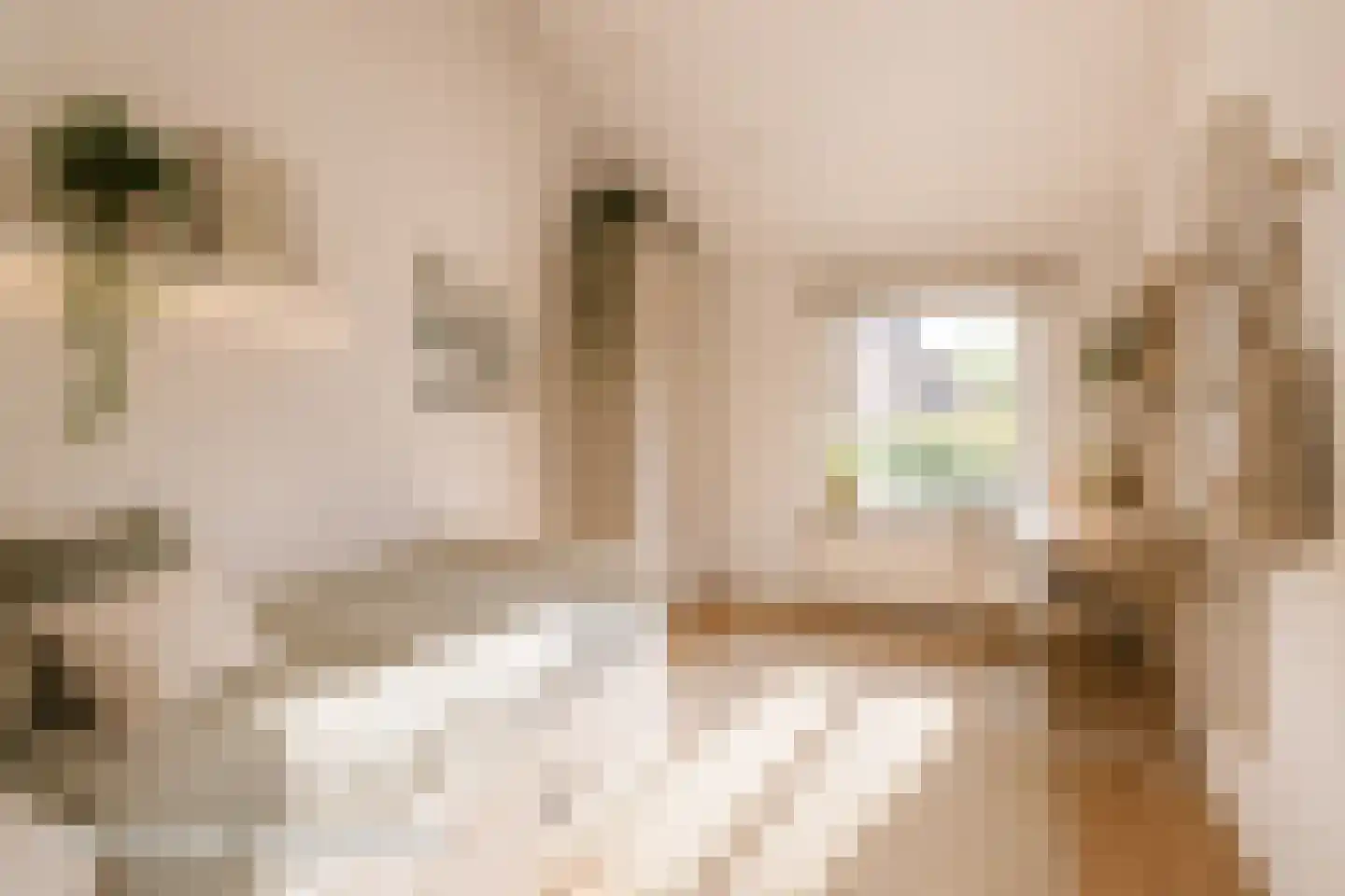 Aa of Weerijs 53 Tilburg thumbnail 47