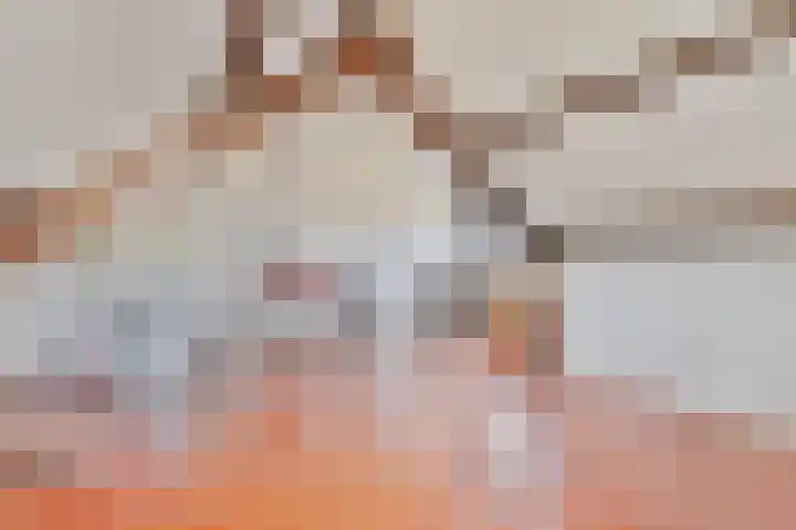 Aa of Weerijs 79 Tilburg thumbnail 22