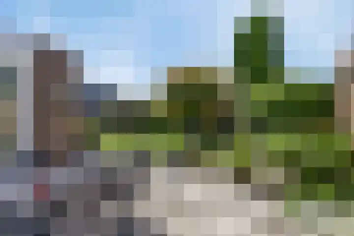 Aa of Weerijs 79 Tilburg thumbnail 23