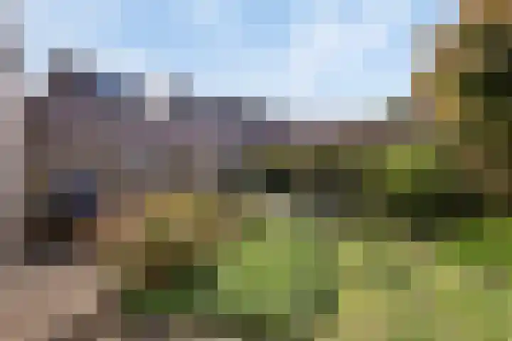 Aa of Weerijs 79 Tilburg thumbnail 25