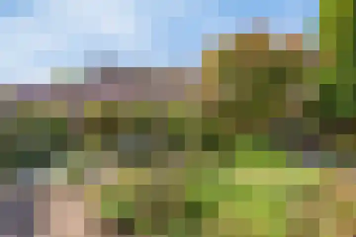 Aa of Weerijs 79 Tilburg thumbnail 26
