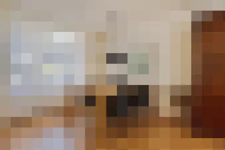 Aa of Weerijs 79 Tilburg thumbnail 7