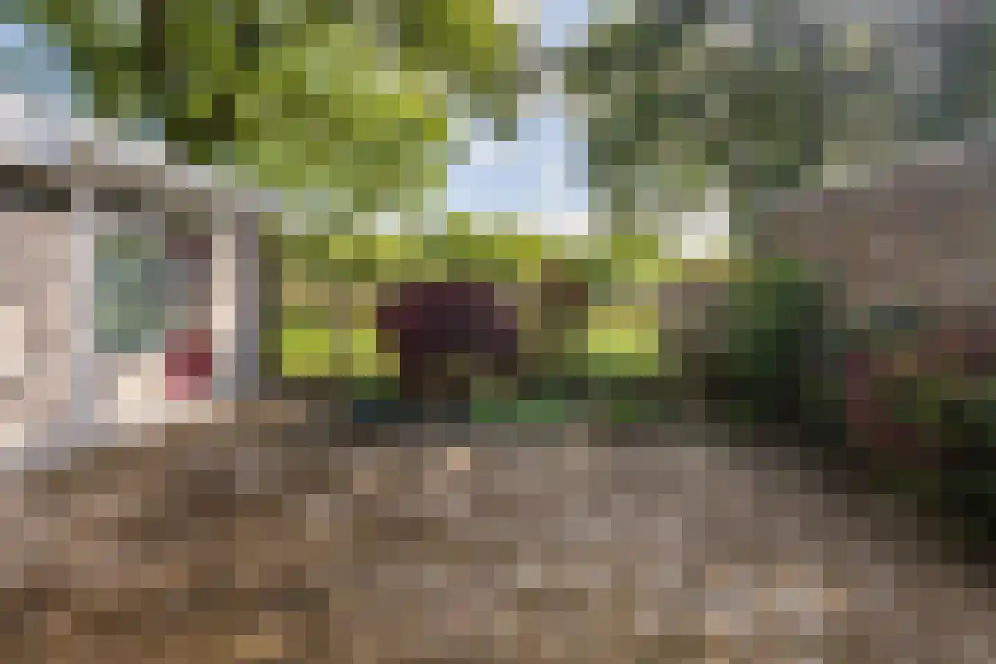 Aa-park 1 Zwolle thumbnail 14