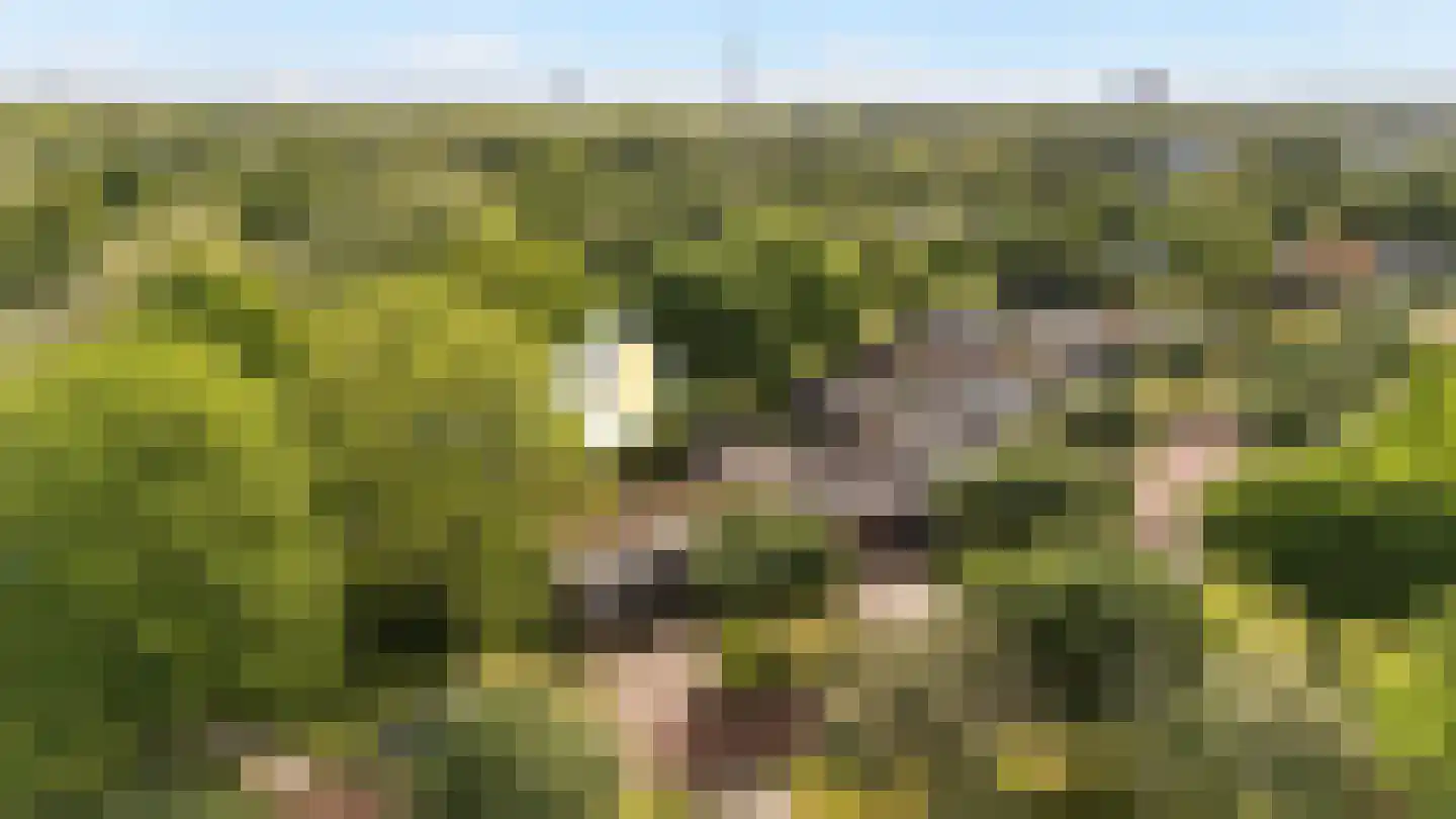Aa-park 1 Zwolle thumbnail 30