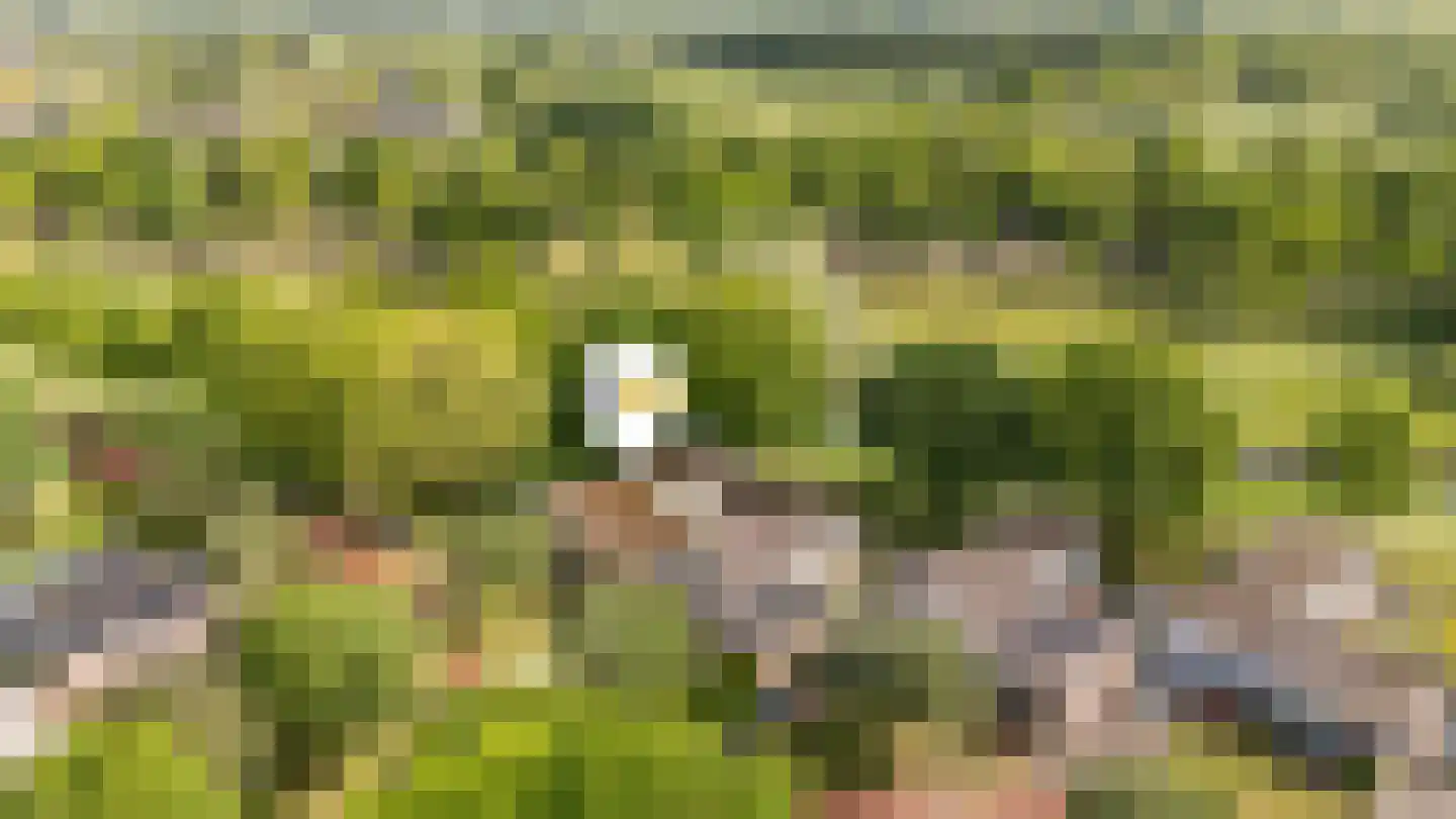 Aa-park 1 Zwolle thumbnail 31