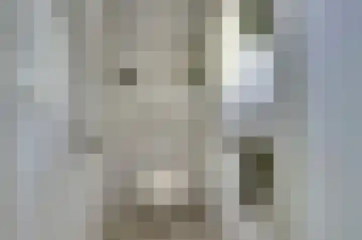 Aabeekstraat 48 Goirle thumbnail 10