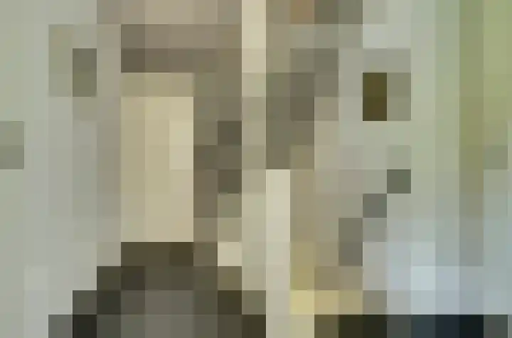 Aabeekstraat 48 Goirle thumbnail 11