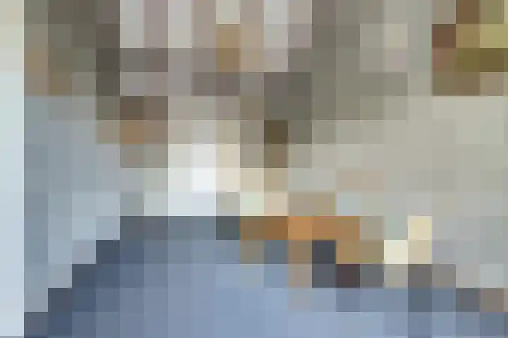 Aabeekstraat 48 Goirle thumbnail 18