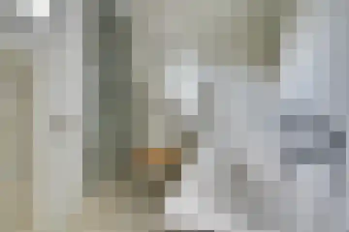 Aabeekstraat 48 Goirle thumbnail 22