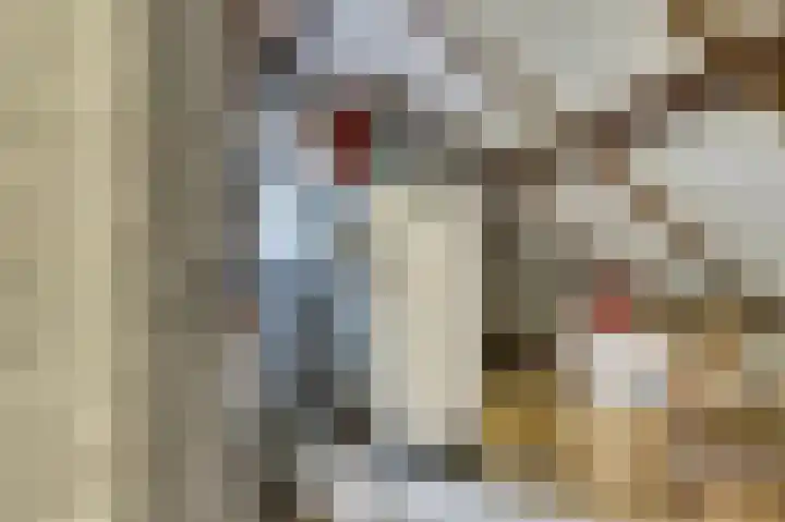Aabeekstraat 48 Goirle thumbnail 26