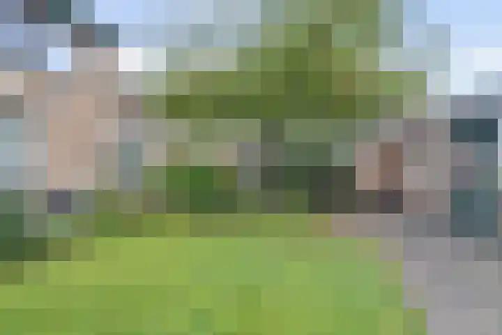 Aabeekstraat 48 Goirle thumbnail 29