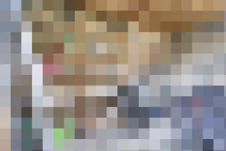 Aabeekstraat 48 Goirle thumbnail 30