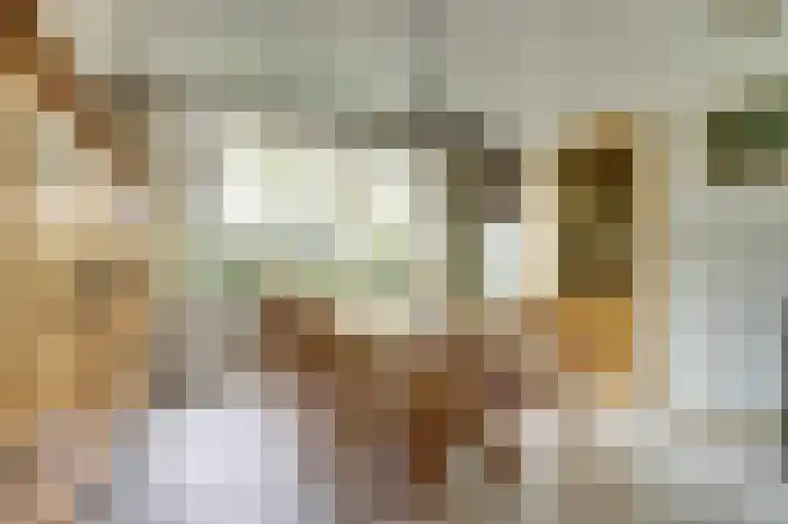 Aabeekstraat 48 Goirle thumbnail 4