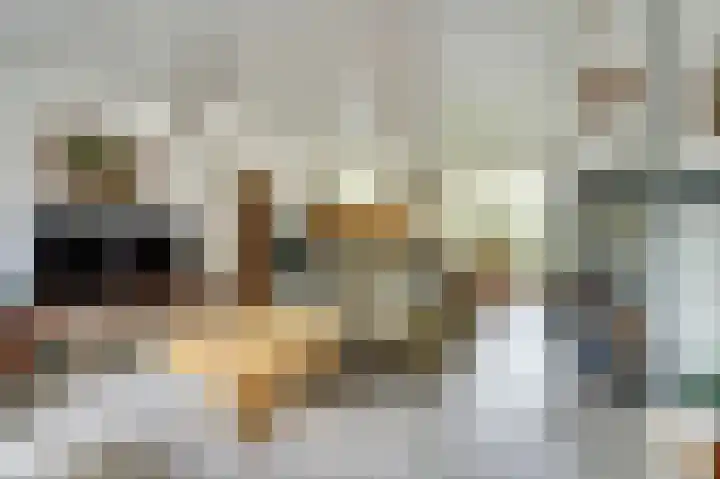 Aabeekstraat 48 Goirle thumbnail 5