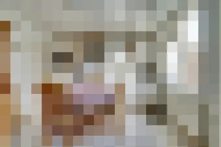 Aabeekstraat 48 Goirle thumbnail 7