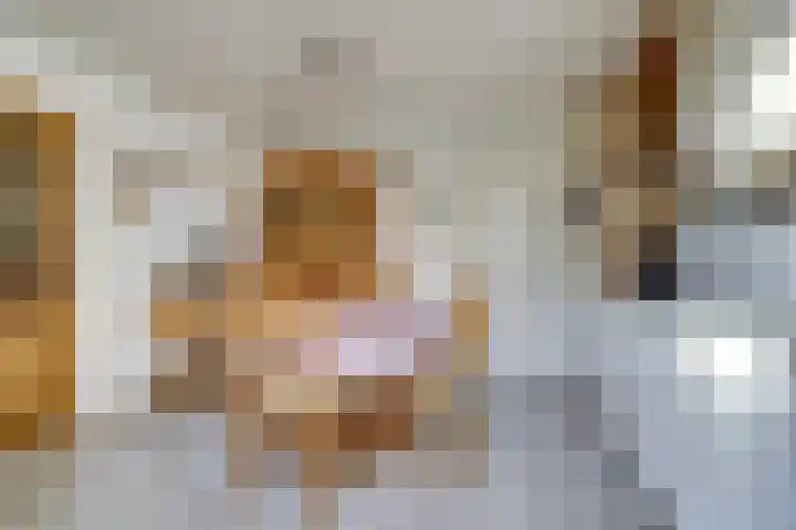 Aabeekstraat 48 Goirle thumbnail 8