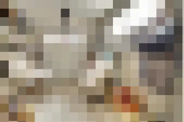 Aabeekstraat 48 Goirle thumbnail 9