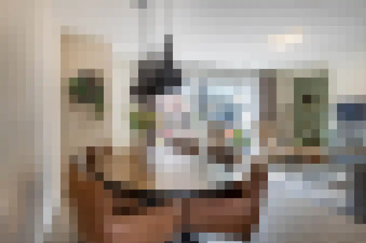 Aaboerlaan 26 Almelo thumbnail 12