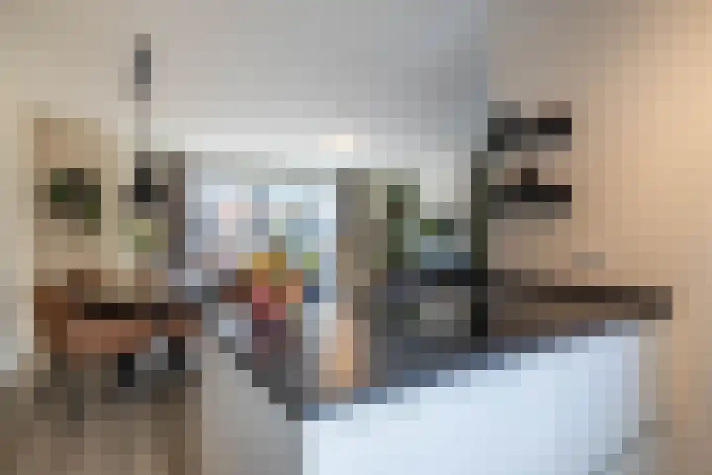 Aaboerlaan 26 Almelo thumbnail 15