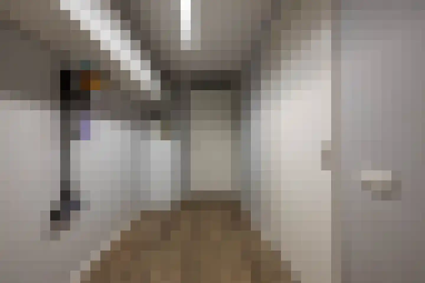 Aaboerlaan 26 Almelo thumbnail 17