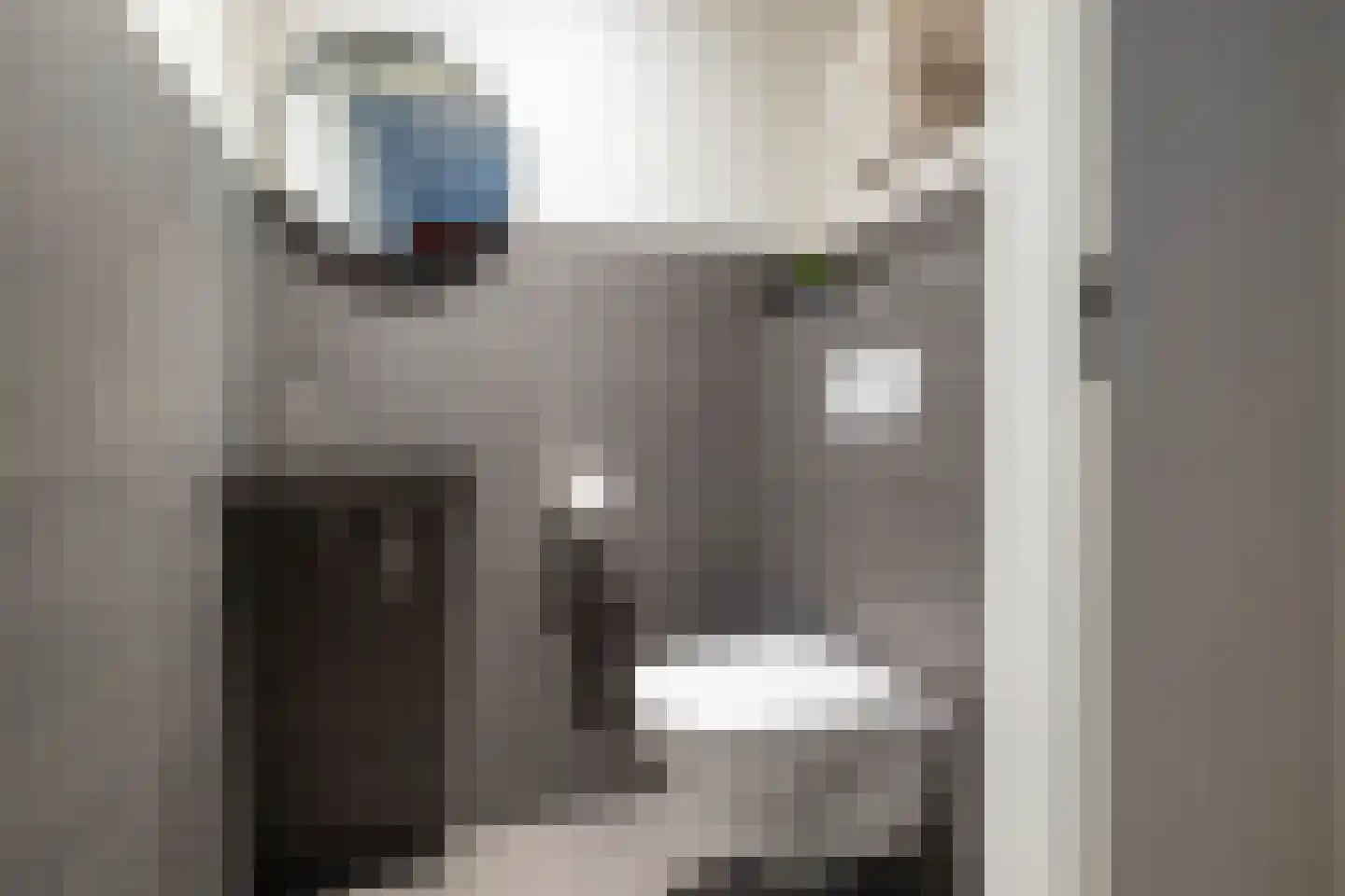 Aaboerlaan 26 Almelo thumbnail 18