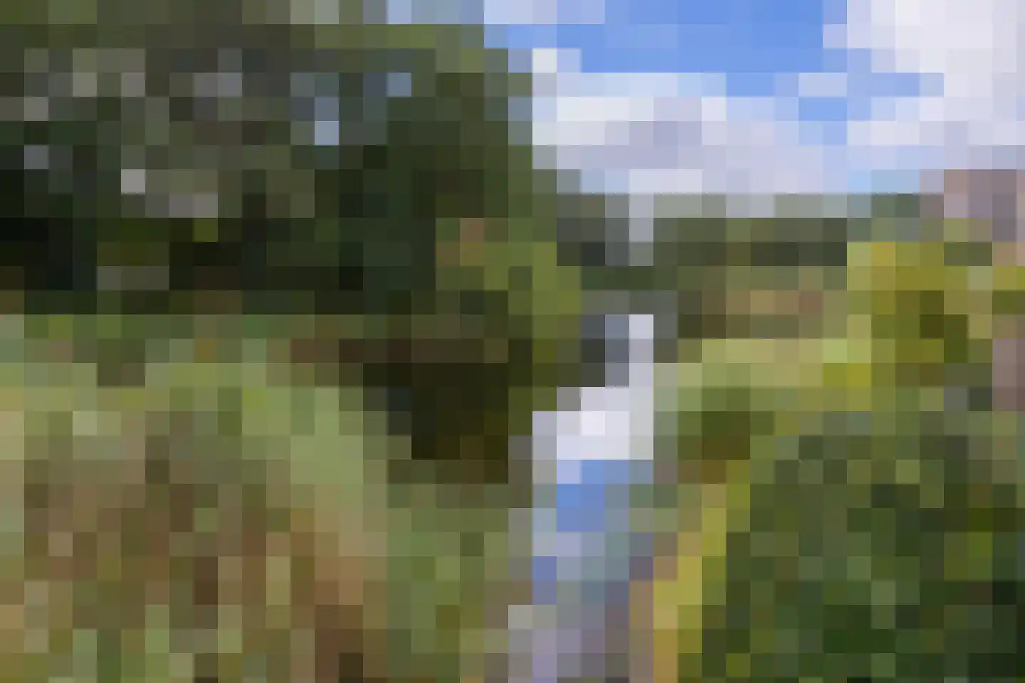 Aaboerlaan 26 Almelo thumbnail 4