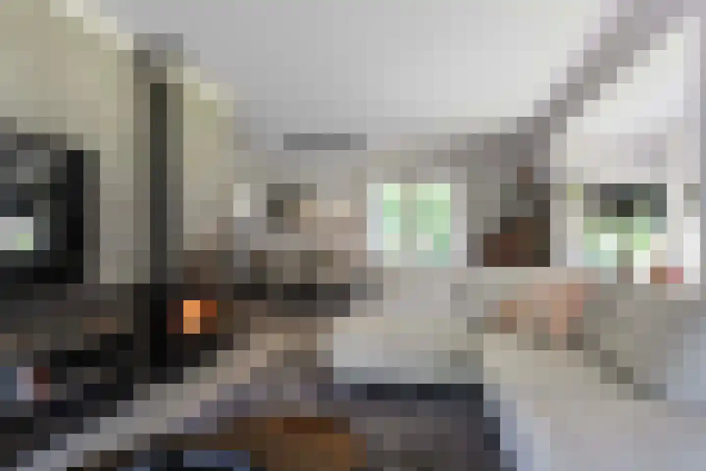 Aaboerlaan 8 Almelo thumbnail 14