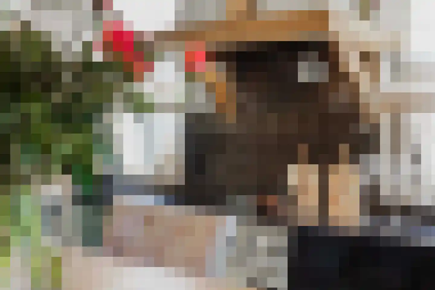 Aaboerlaan 8 Almelo thumbnail 21