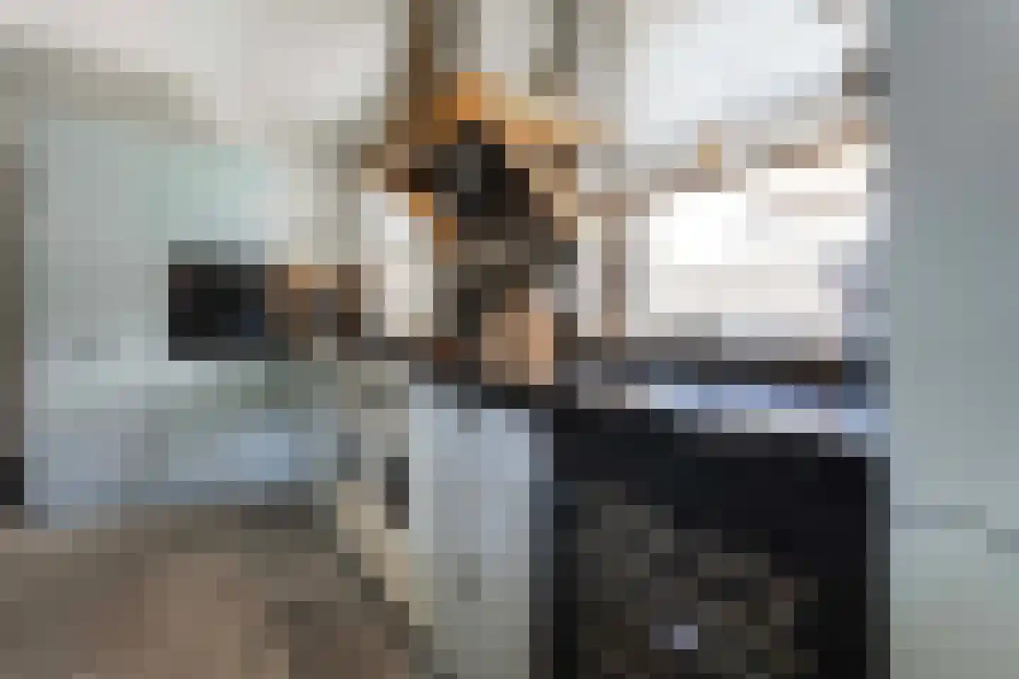 Aaboerlaan 8 Almelo thumbnail 22
