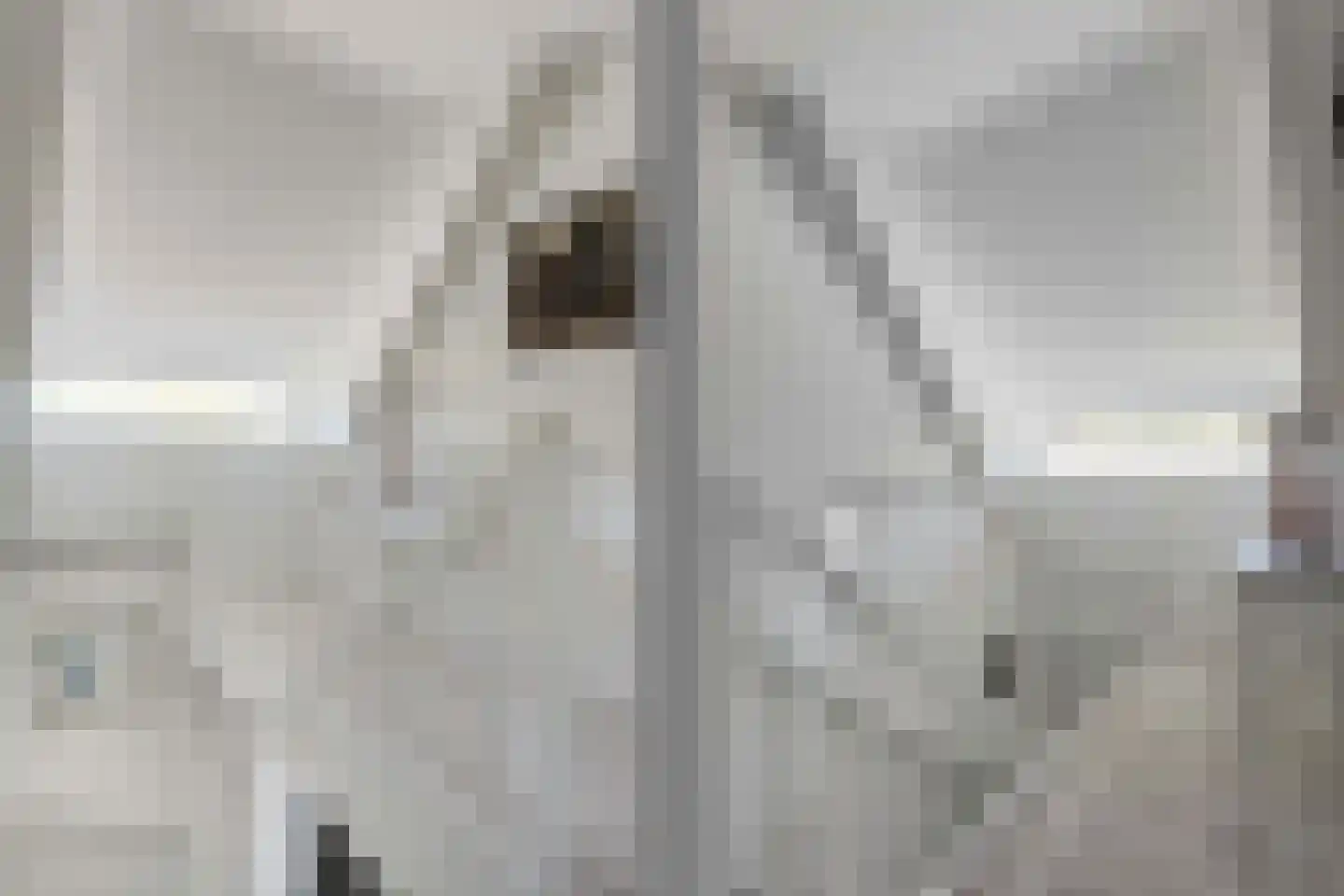 Aaboerlaan 8 Almelo thumbnail 24