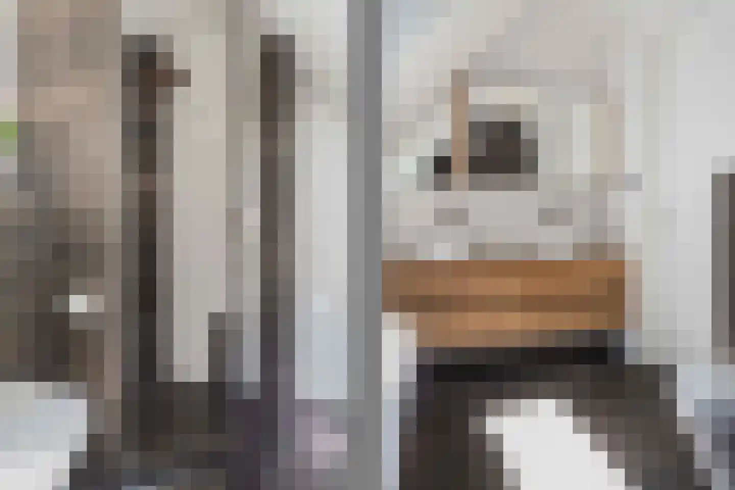 Aaboerlaan 8 Almelo thumbnail 30