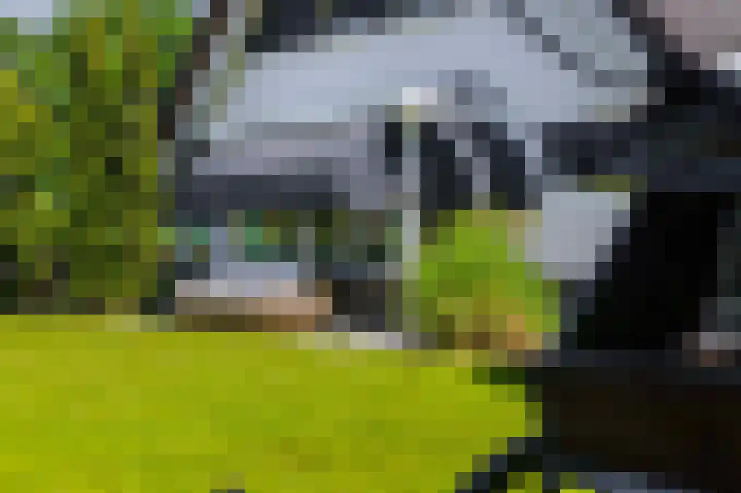 Aaboerlaan 8 Almelo thumbnail 43
