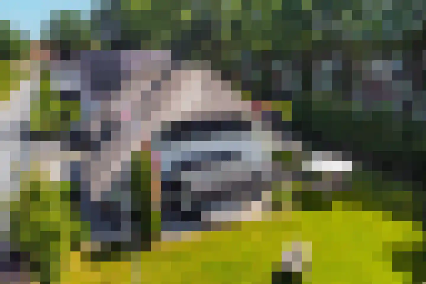 Aaboerlaan 8 Almelo thumbnail 45