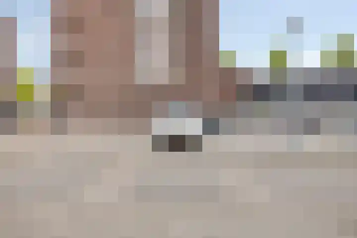 Aad Meijerstraat 6 Helmond thumbnail 35