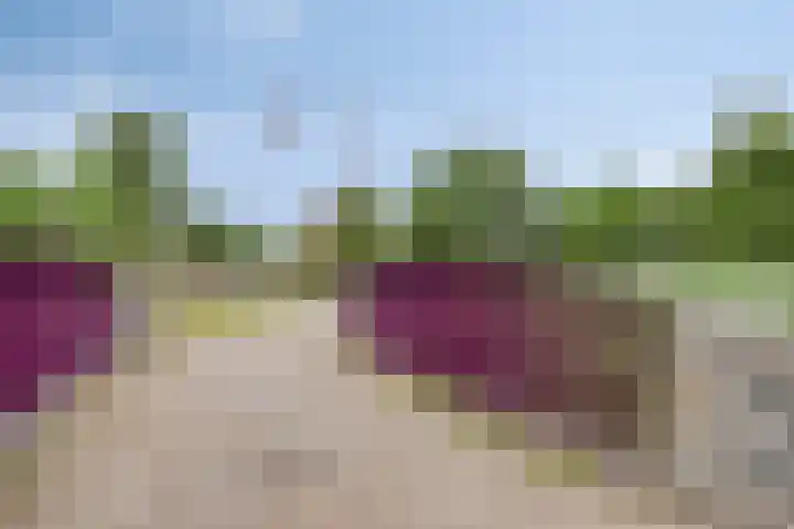 Aad Meijerstraat 6 Helmond thumbnail 39
