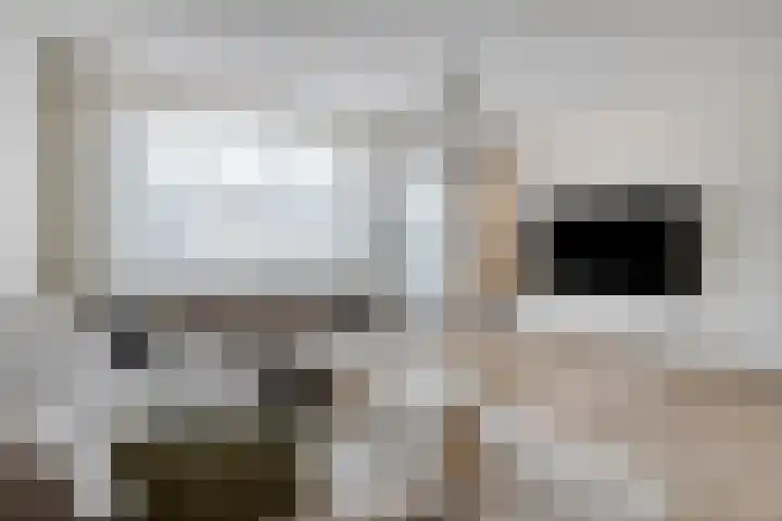 Aad Meijerstraat 6 Helmond thumbnail 4