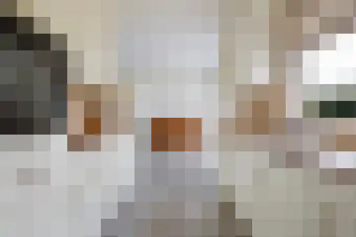 Aadorpsweg 21 Wierden thumbnail 14