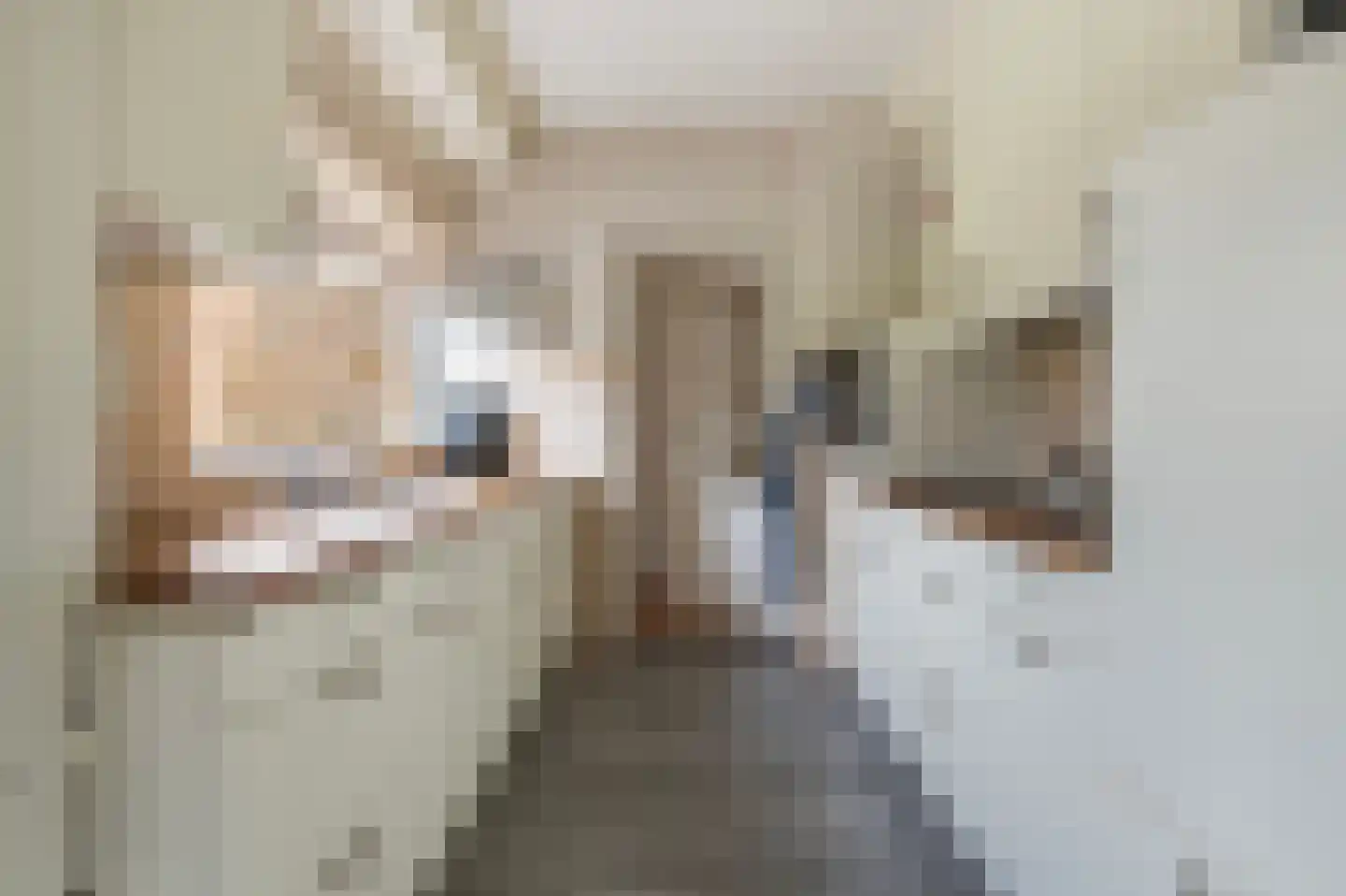 Aadorpsweg 21 Wierden thumbnail 15