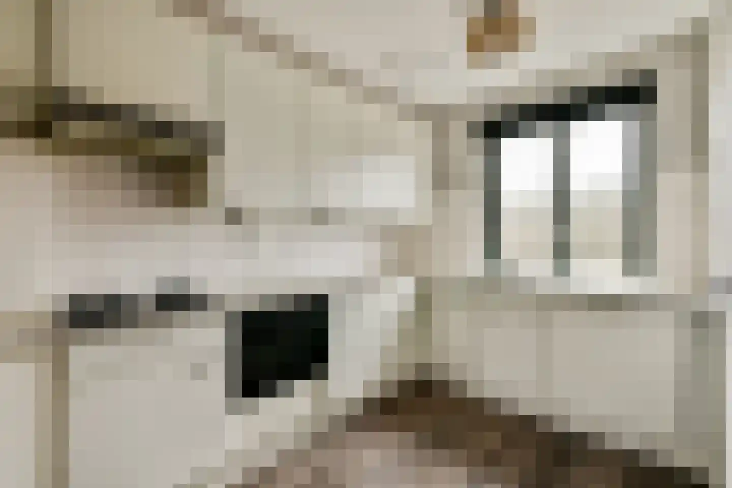 Aaf Bouberstraat 136 Amsterdam thumbnail 9