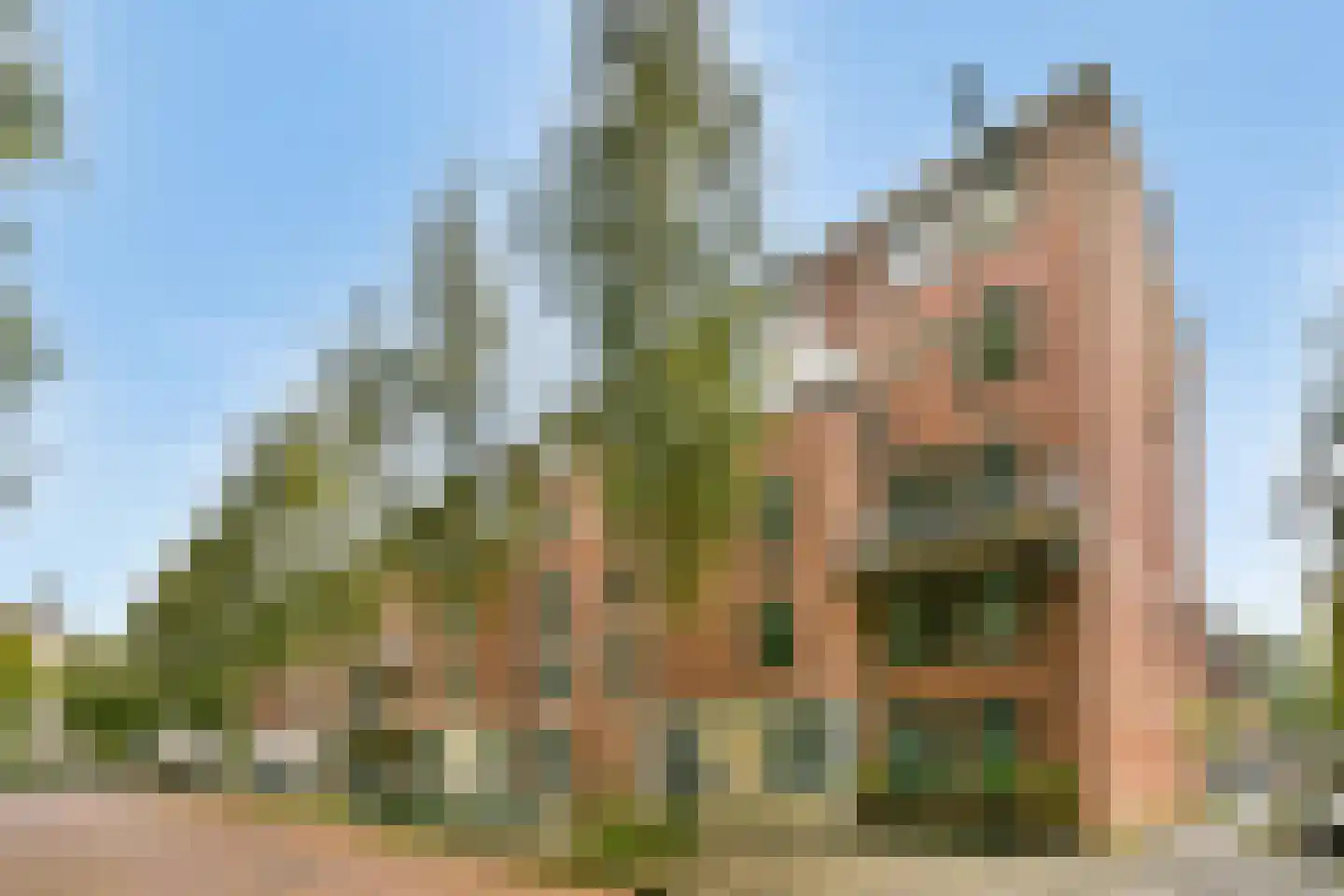 Aaf Bouberstraat 24 Amsterdam