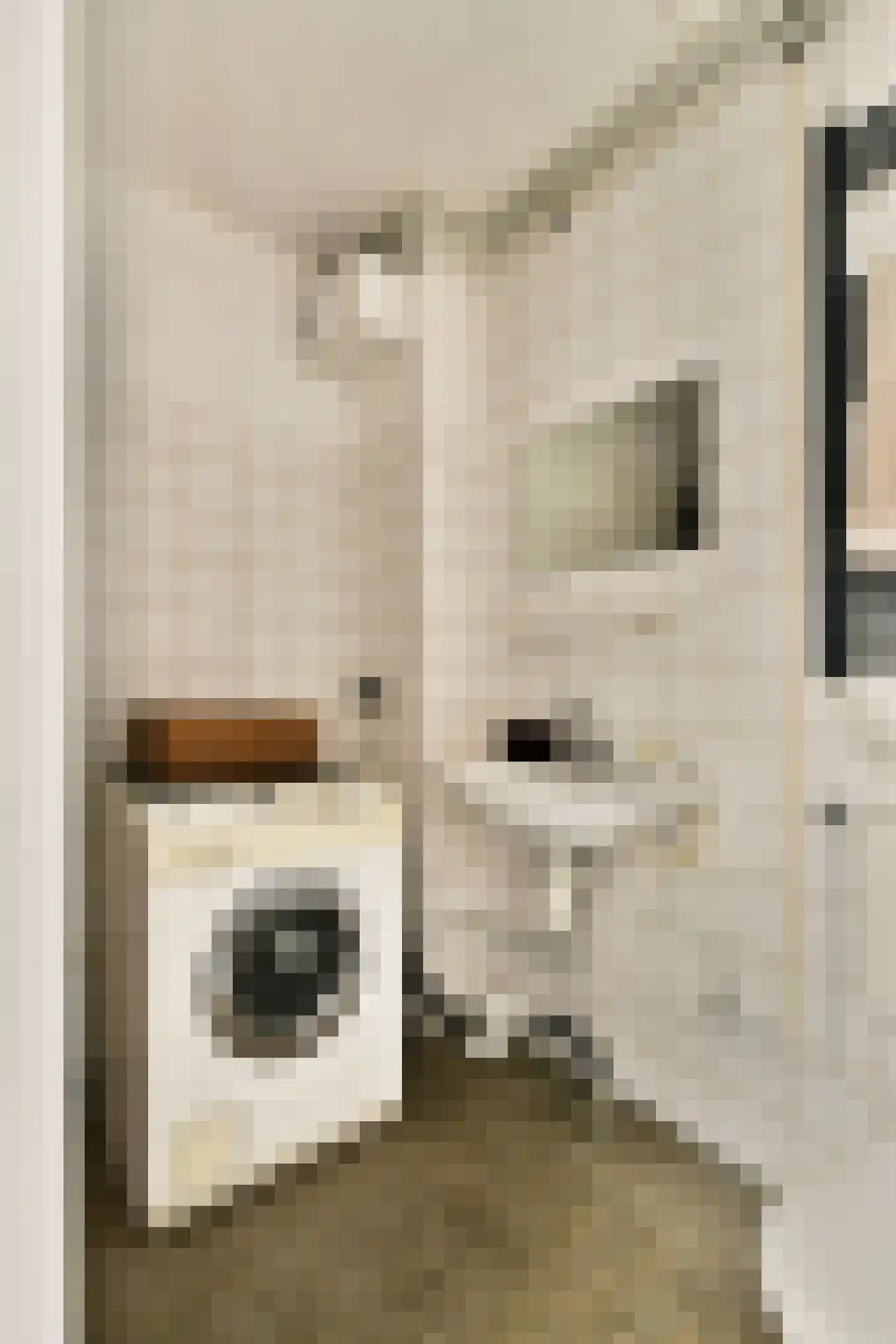Aaf Bouberstraat 24 Amsterdam thumbnail 16