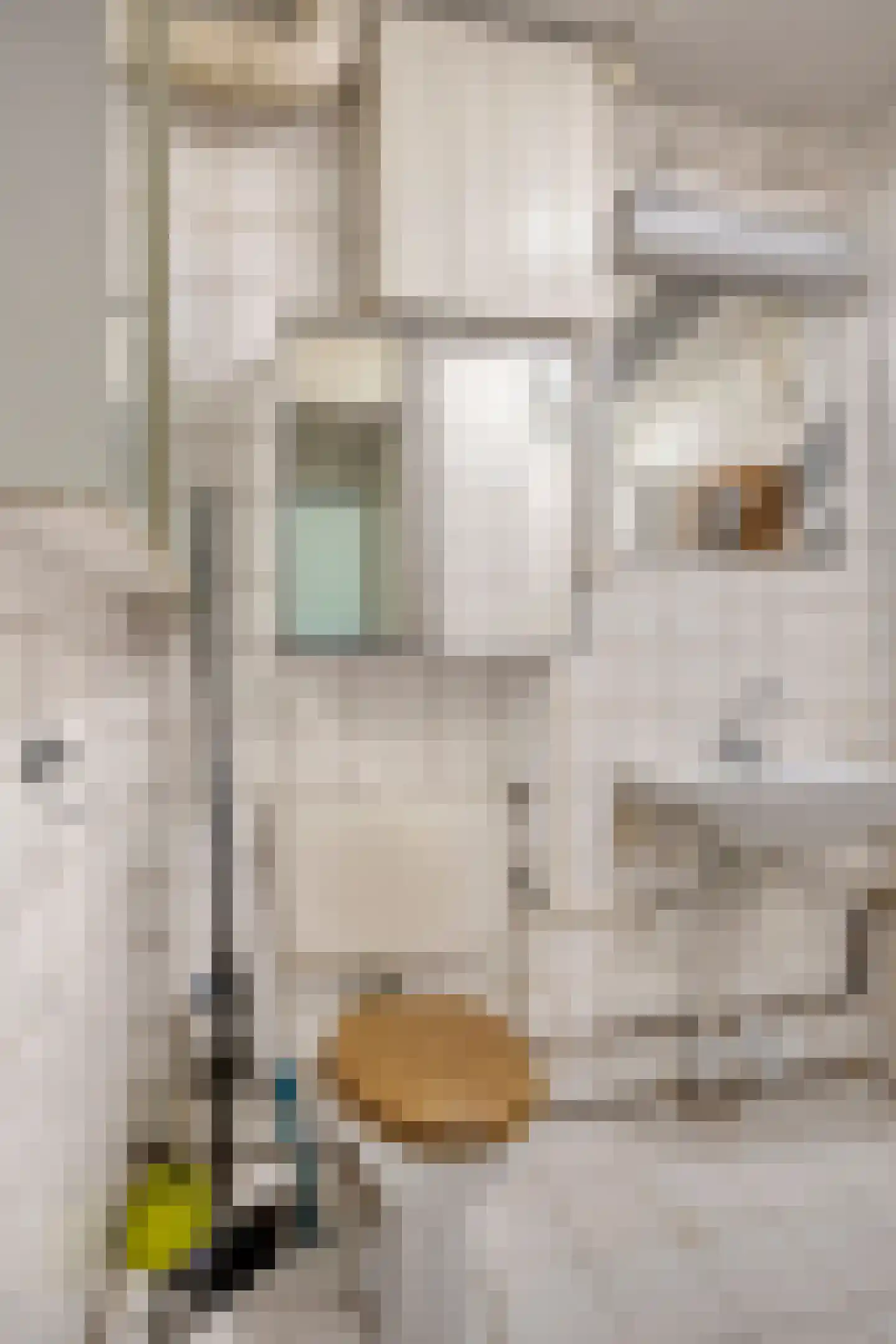 Aaf Bouberstraat 42 Amsterdam thumbnail 19