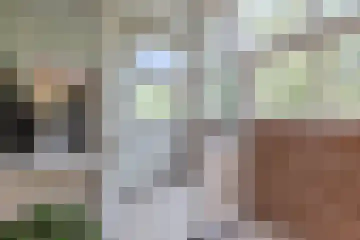 Aaf Bouberstraat 76 Amsterdam thumbnail 8