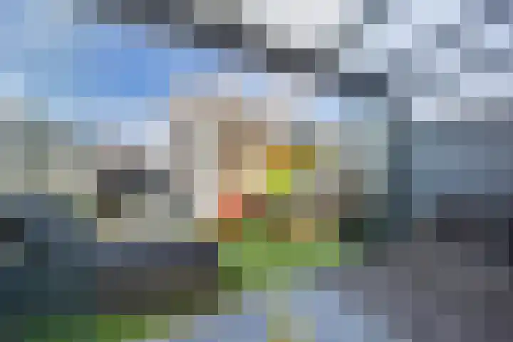 Aafje Andersstraat 1 Almere thumbnail 31