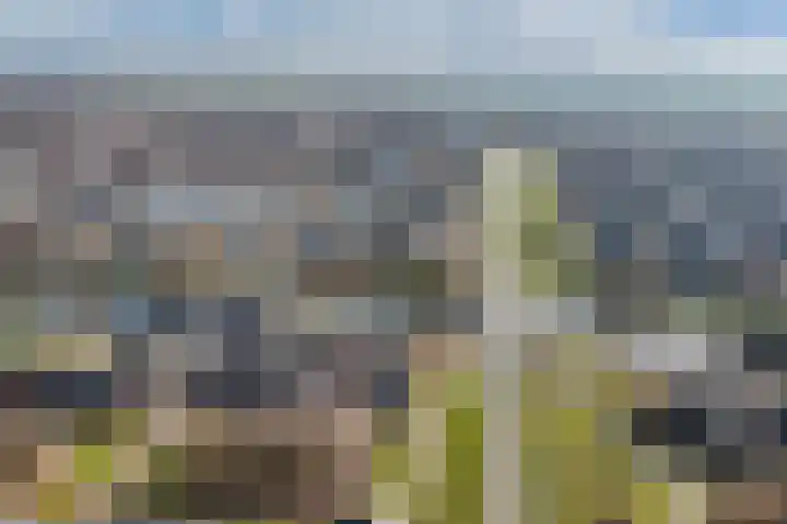 Aafje Andersstraat 1 Almere thumbnail 38